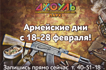 Армейские дни (предложение для школ)