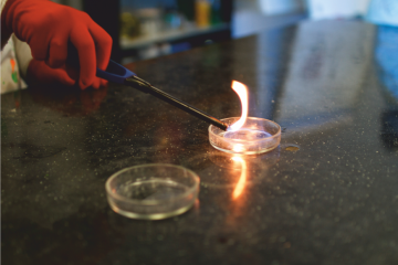 Практикумы в Джоуль парке